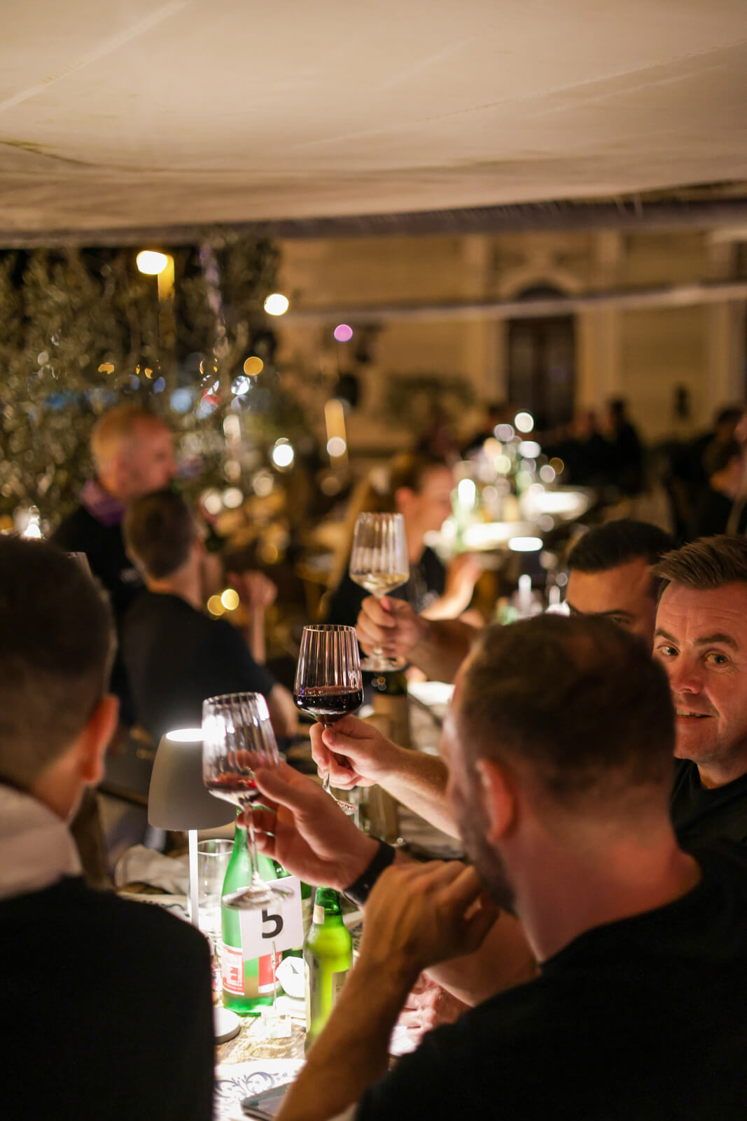 Group of people raising wine glasses in a toast at an outdoor evening dinner table.